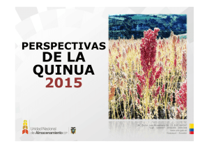 Perspectiva de Quina 2015 EDITADO