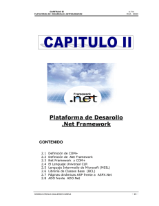 Plataforma de Desarollo .Net Framework