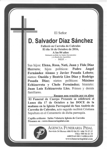 D. Salvador Díaz Sánchez
