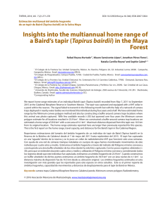 Insights into the multiannual home range of a Baird`s tapir (Tapirus