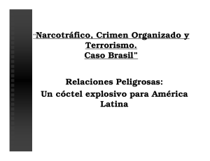 “Narcotráfico, Crimen Organizado y Terrorismo. Caso Brasil
