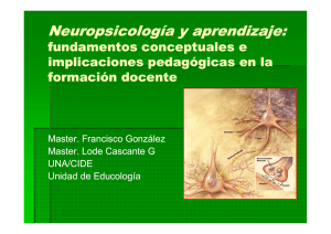 Implicaciones pedagógicas de la visión neurobiológica