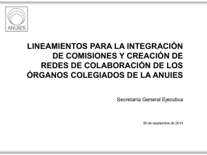 Lineamientos para la integración de comisiones y creación de redes