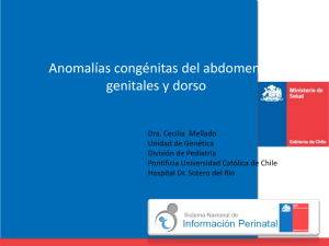 Anomalías congénitas del abdomen, genitales y dorso