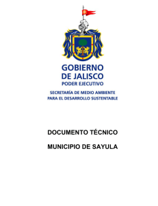 documento técnico municipio de sayula