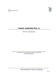 cargo: subdirector /a
