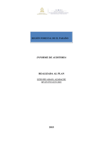 informe de auditoria realizada al plan 2015