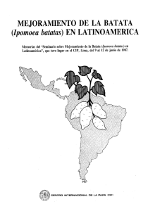 Page 1 MEJORAMIENTO DE LA BATATA Ipomoea batatas) EN