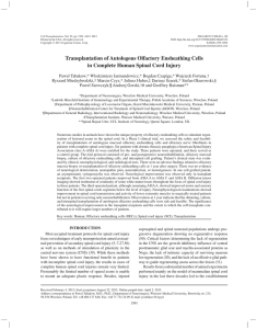 Transplantation of Autologous Olfactory Ensheathing Cells in