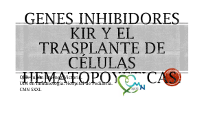 Genes inhibidores KIR y el trasplante de células