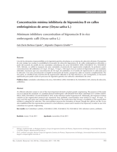 Concentración mínima inhibitoria de higromicina B en callos