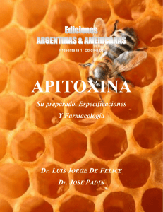 La apitoxina es un potente analgésico y antiinflamatorio