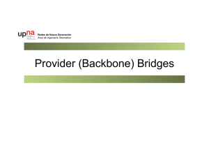 Provider (Backbone) Bridges - Área de Ingeniería Telemática