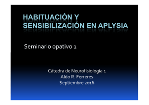 2016 Ferreres Seminario 1 Aplysia PDF