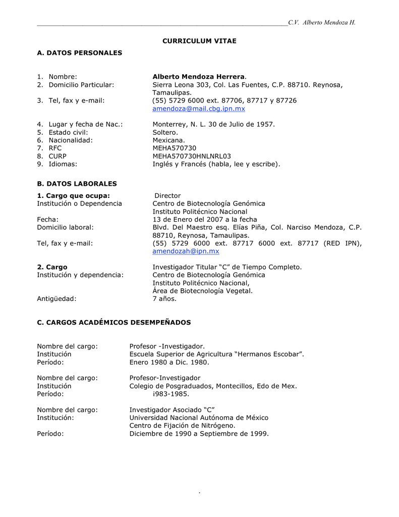 Resume summary examples picture