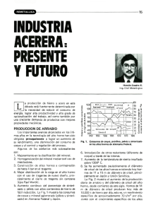 NDIISTRIA ACERERA: PRESENTE Y FUTURO