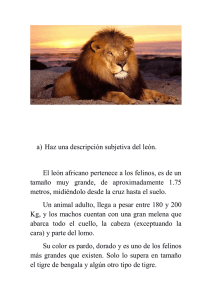 a) Haz una descripción subjetiva del león. El