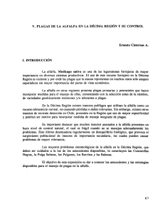 v. plagas de la alfalfa en la décima región y su control