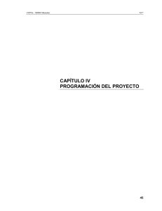 CAPÍTULO IV PROGRAMACIÓN DEL PROYECTO