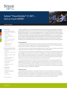 Sybase PowerBuilder 12.5 Datasheet