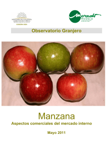 Manzana - Mercado Modelo