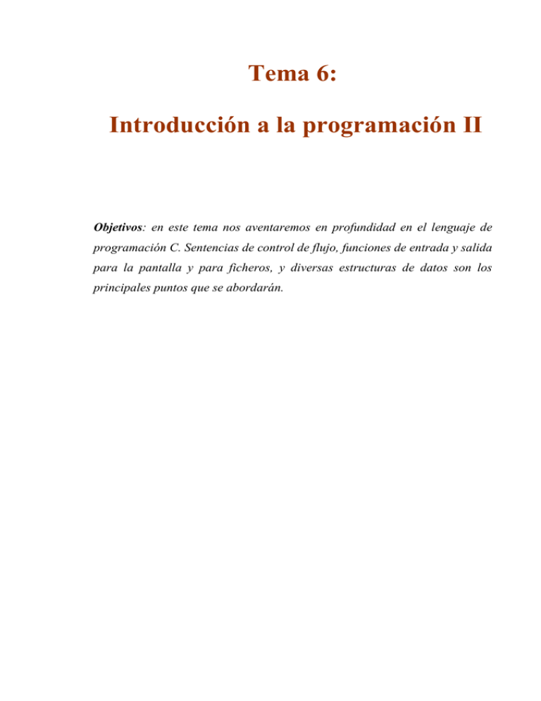 Tema 6: Introducción A La Programación II