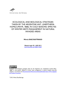 Ecological and biological strategies taken by the Argentine ant