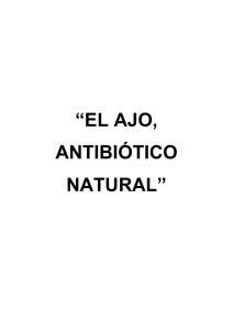 el ajo, antibiótico natural