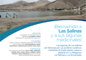 ¡Bienvenido a Las Salinas ya sus lagunas