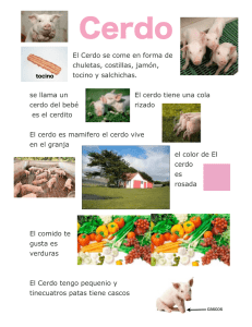 El Cerdo se come en forma de chuletas, costillas, jamón, tocino y