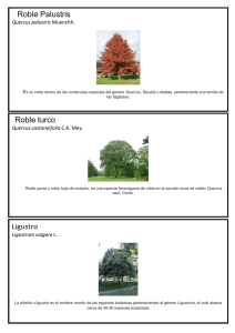 Características de especies forestales 2