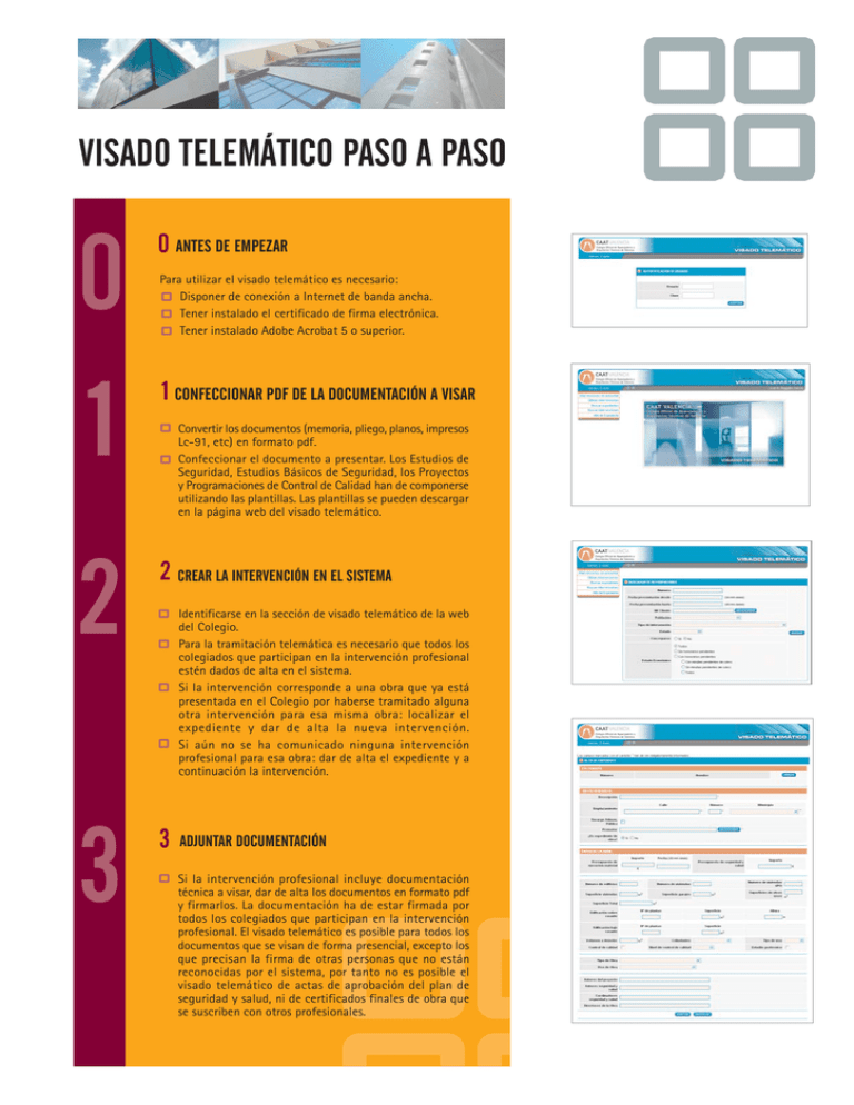 Ficha Visado Telem.tico Paso A Paso2.FH11