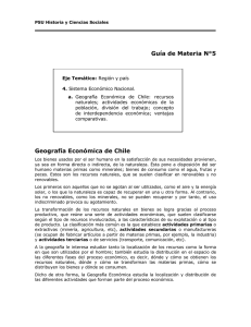 Guía de Materia N°5 Geografía Económica de Chile