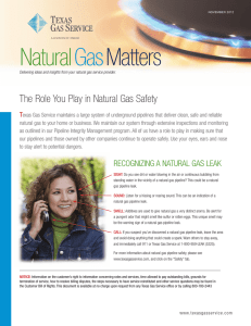 NaturalGasMatters - Texas Gas Service