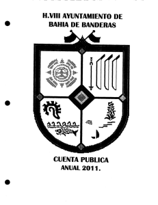 Cuenta Pública Anual 2011