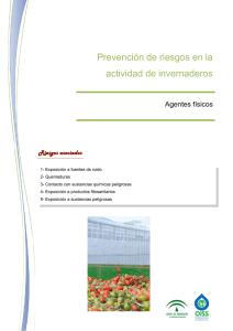 Prevención de riesgos en la actividad de invernaderos