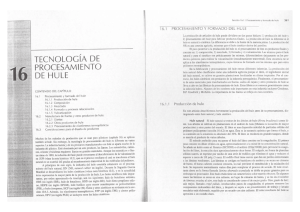 TECNOLOGÍA DE PROCESAMIENTO DE HULE