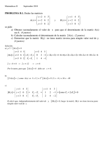 PROBLEMA B.1. Dadas las matrices se pide: a) Obtener
