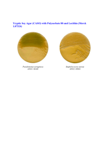 Tryptic Soy Agar (CASO) with Polysorbate 80 and