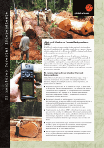 liberia 009 - Illegal Logging Portal