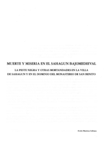 Muerte y miseria en el Sahagún bajo—medieval, por