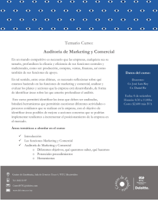 Temario Curso: Auditoría de Marketing y Comercial