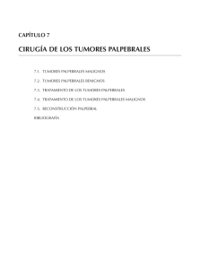 capítulo 7 cirugía de los tumores palpebrales