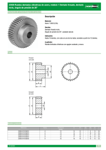 22400 Ruedas dentadas cilíndricas de acero, módulo 1