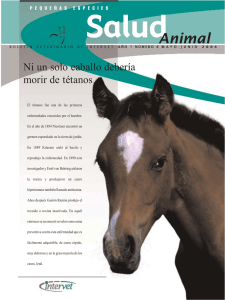 caballo (Page 1) - MSD Salud Animal