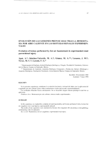 EVOLUCIÓN DE LAS LESIONES PROVOCADAS TRAS LA
