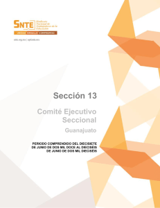 Sección 13