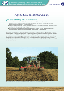 Agricultura de conservación - agrilife