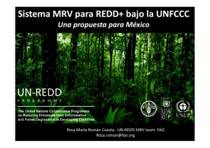 Sistema MRV para REDD+ bajo la UNFCCC - REDD/CCAD-GIZ