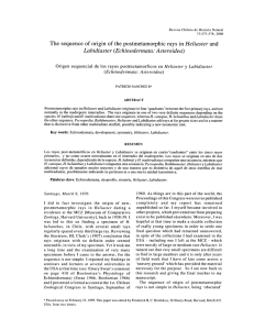 The sequence of origin of the postmetamorphic rays in